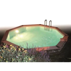 Spot LED 350 Blanc Pour Piscine Ubbink -Raviday Piscine reduit ambiance spot 2 min